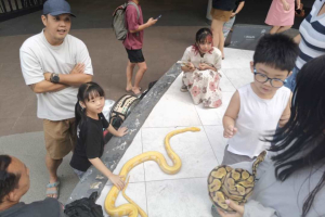 Interaksi Satwa Eksotik Pukau Pengunjung Gaia Mall, Jadi Sarana Edukasi Cinta Hewan