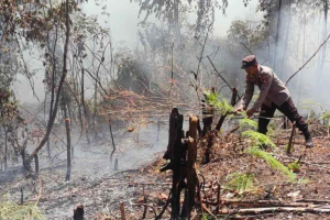 Potensi Karhutla Meningkat, Warga Kalbar Diminta Waspada Penurunan Curah Hujan