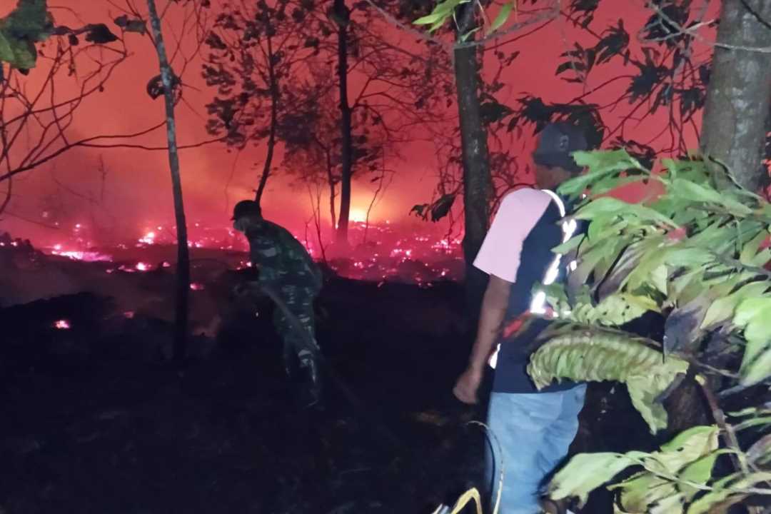 Waspada Asap di Sungai Pinyuh! Kebakaran Lahan di Desa Galang Ganggu Jarak Pandang Pengendara