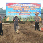 Dukung Swasembada Jagung Nasional, Polres Mempawah Gelar Tanam Raya Serentak di Desa Antibar