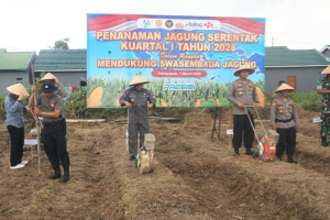 Dukung Swasembada Jagung Nasional, Polres Mempawah Gelar Tanam Raya Serentak di Desa Antibar